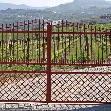 Quinta Do Passadico Villa Lamego Exteriör bild