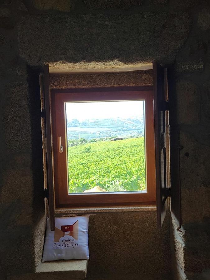 Quinta Do Passadico Villa Lamego Exteriör bild